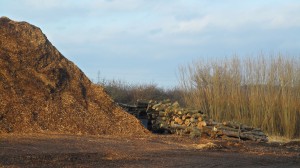 Fotos: Hannah Hogrefe Amos Nielsen